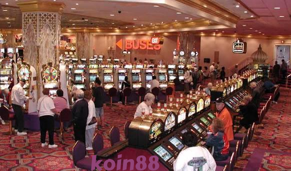 koin88 Live Casino Tables Built for Indonesia